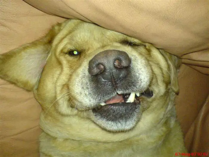Benson again