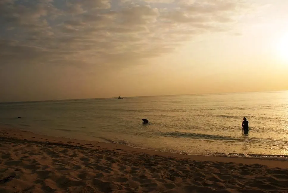 BOCA BUD - CASPER - SURFRAT (MIKE) - HUNTING A FLA. BEACH AT SUNRISE