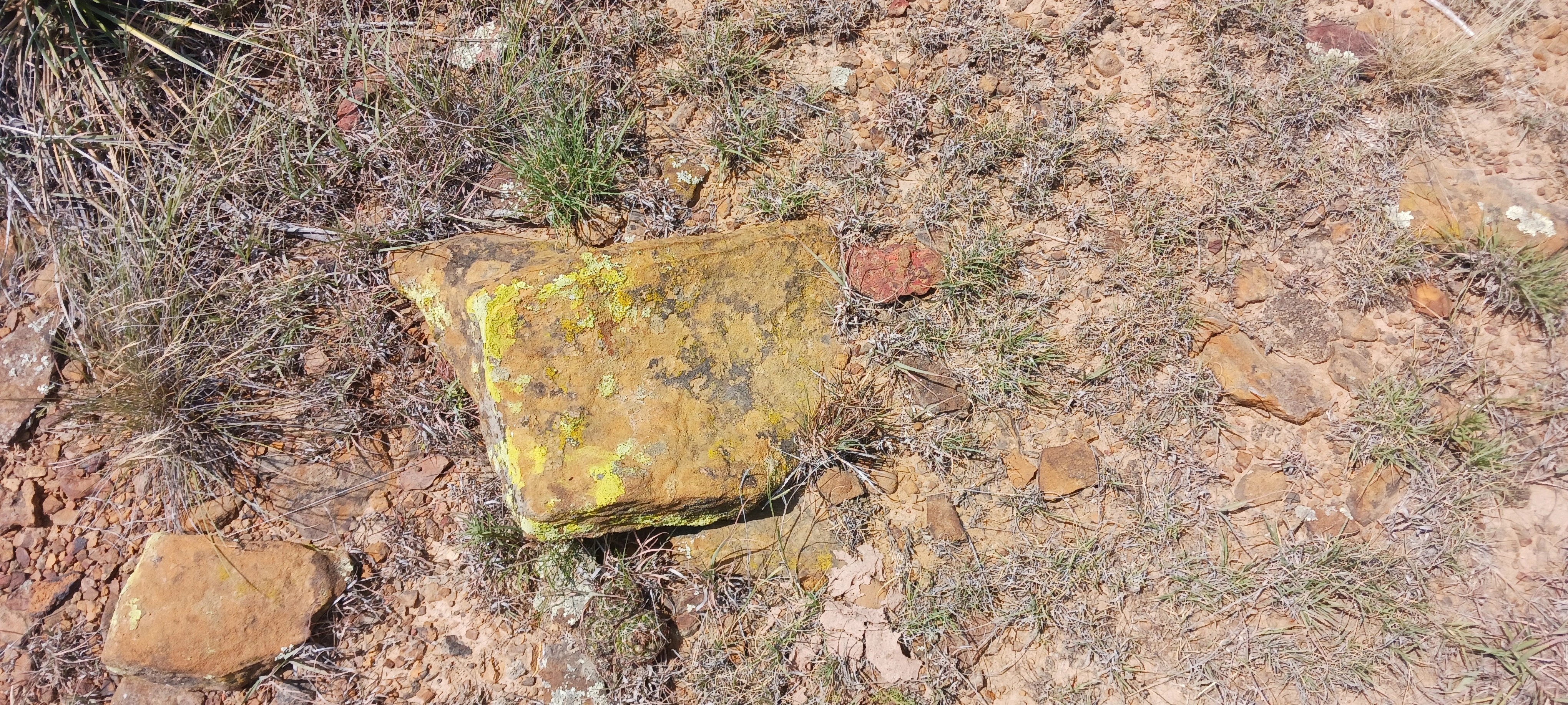Book? On small mound