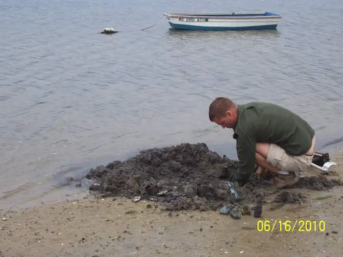 bottle digging