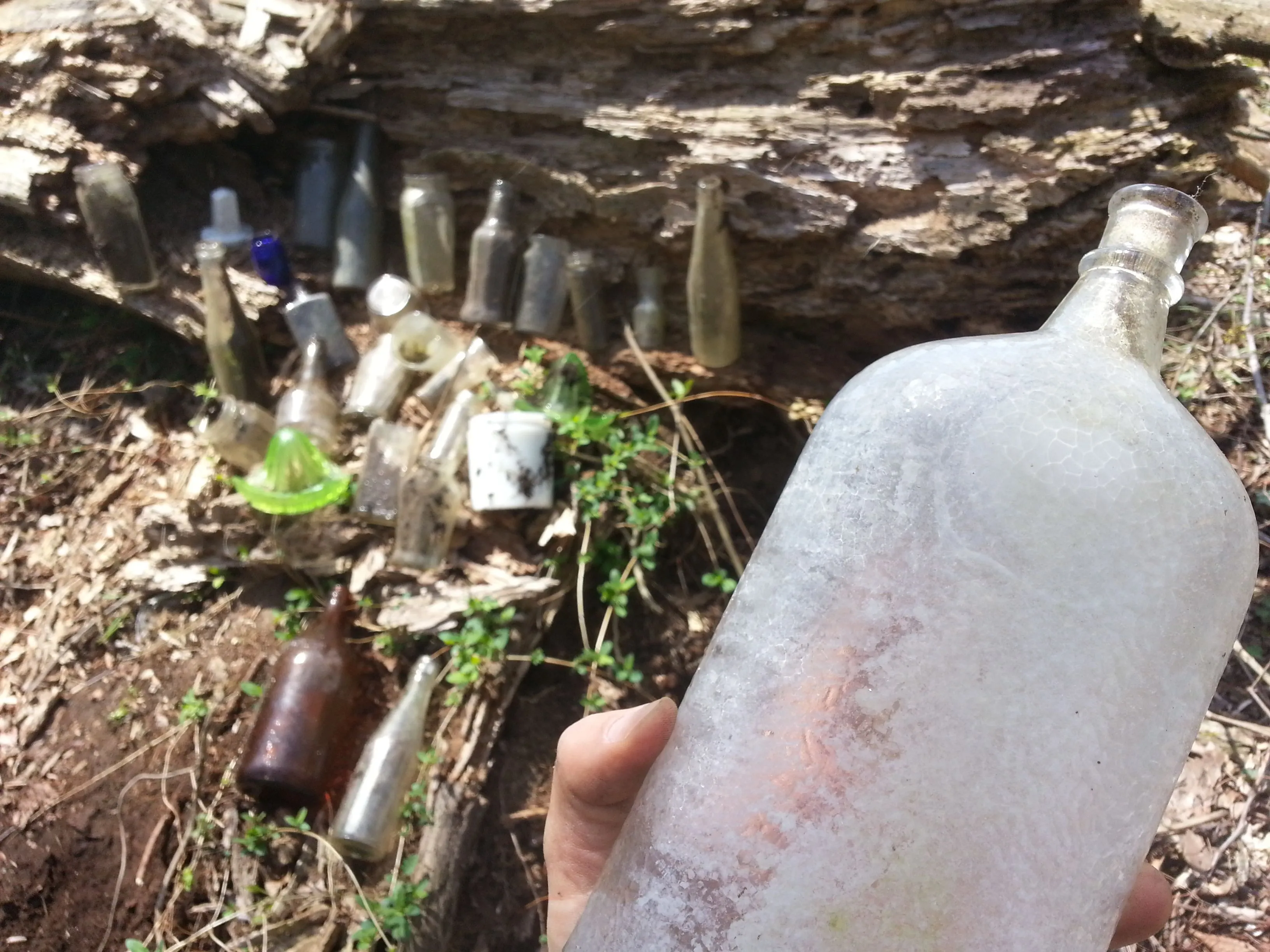 bottle hunting 4