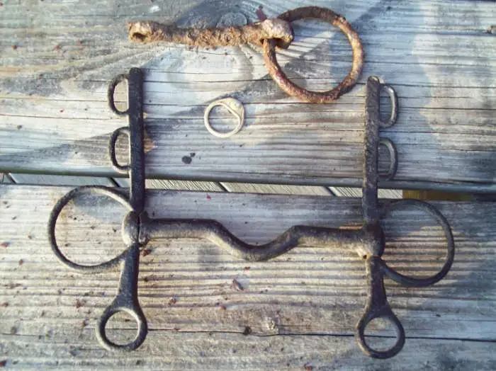bridle - restored by me