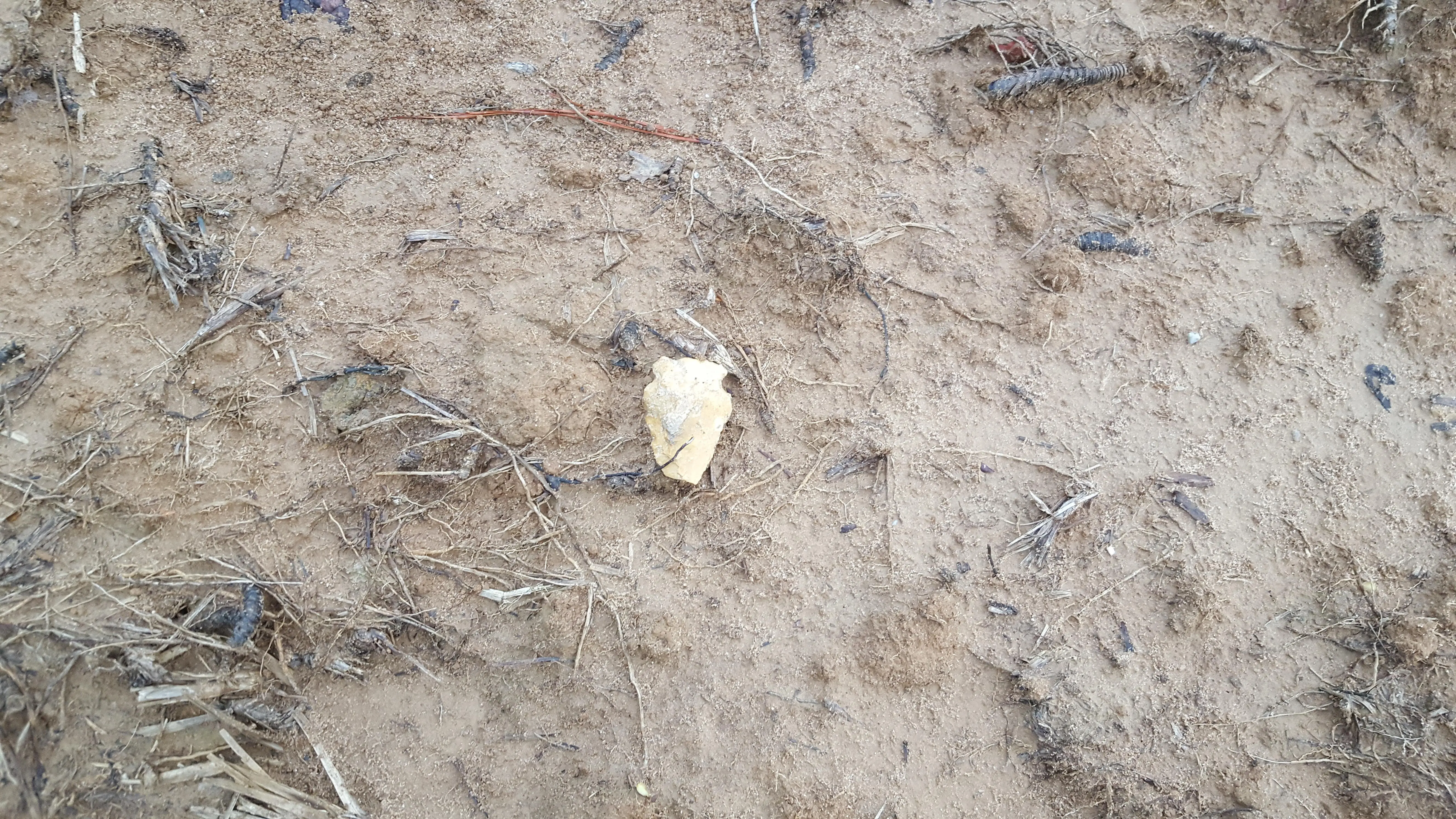 Broken Arrowhead