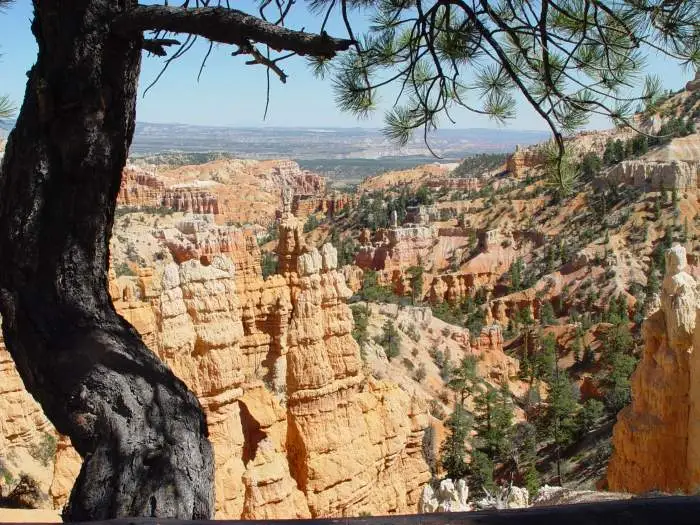 Bryce 5 N.P. Utah 8/2009