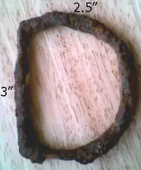 Buckle 8