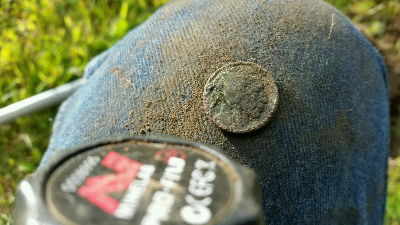 Buffalo Nickel