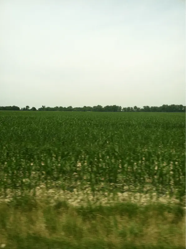 Building a neighborhood over some of my hunting grounds :'(