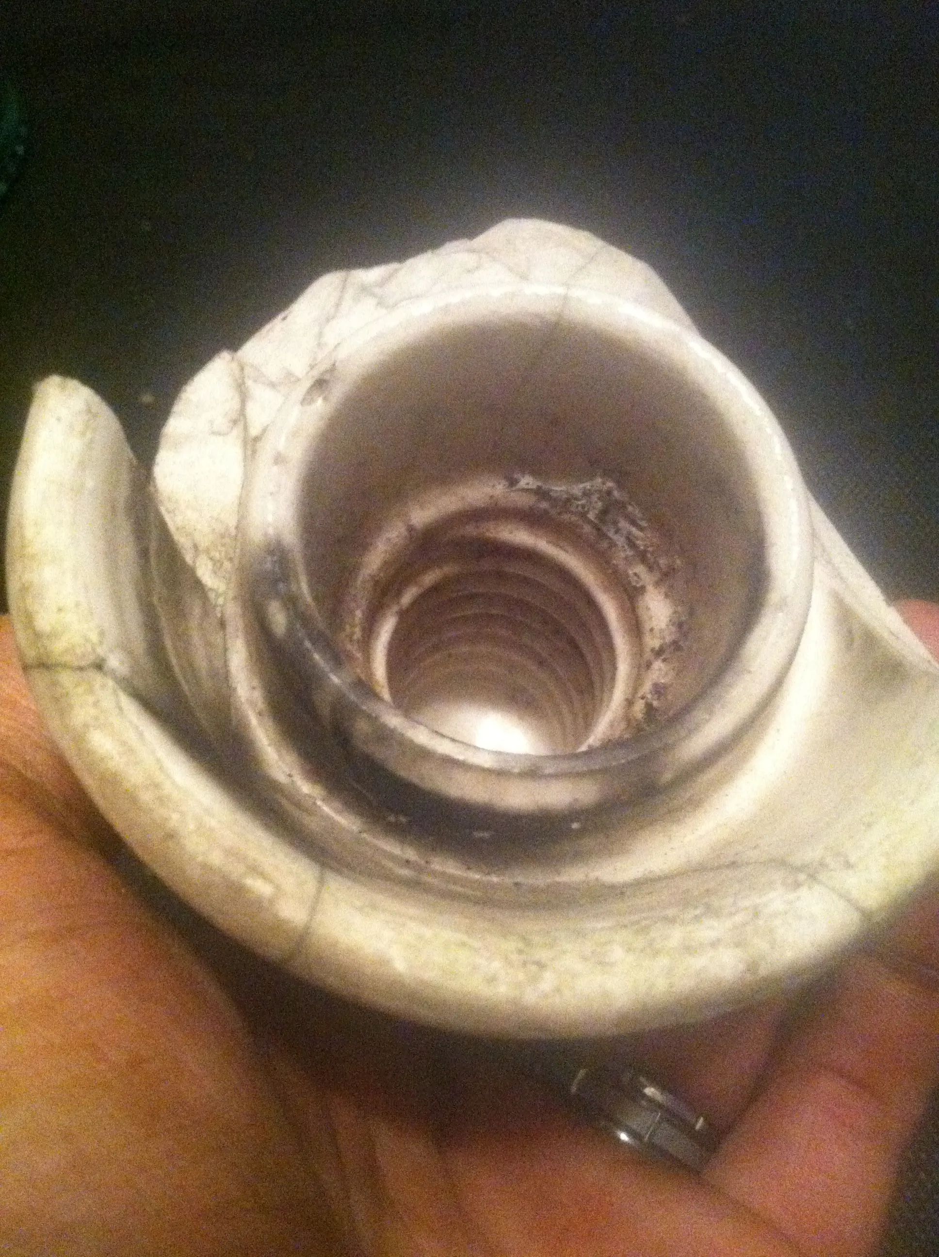 burnt insulator