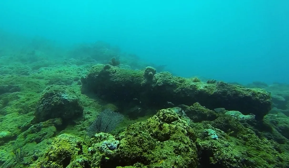 cabarete exploration discovery  16772018204 o