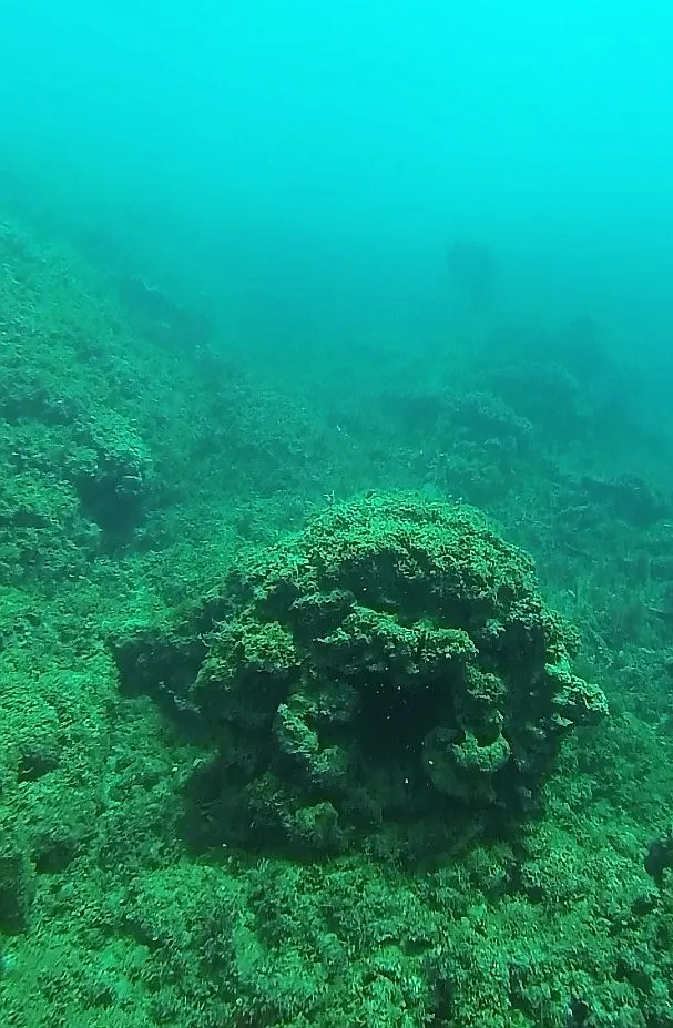 cabarete exploration discovery 17187449327 o