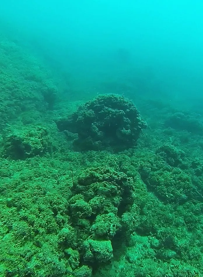 cabarete exploration discovery 17207315840 o