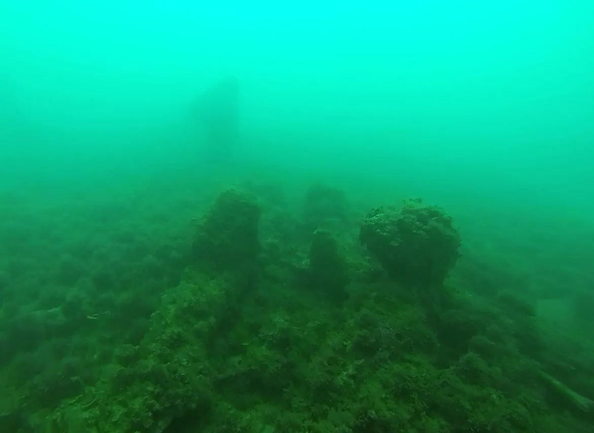 cabarete exploration engineroom braces 18204988300 o