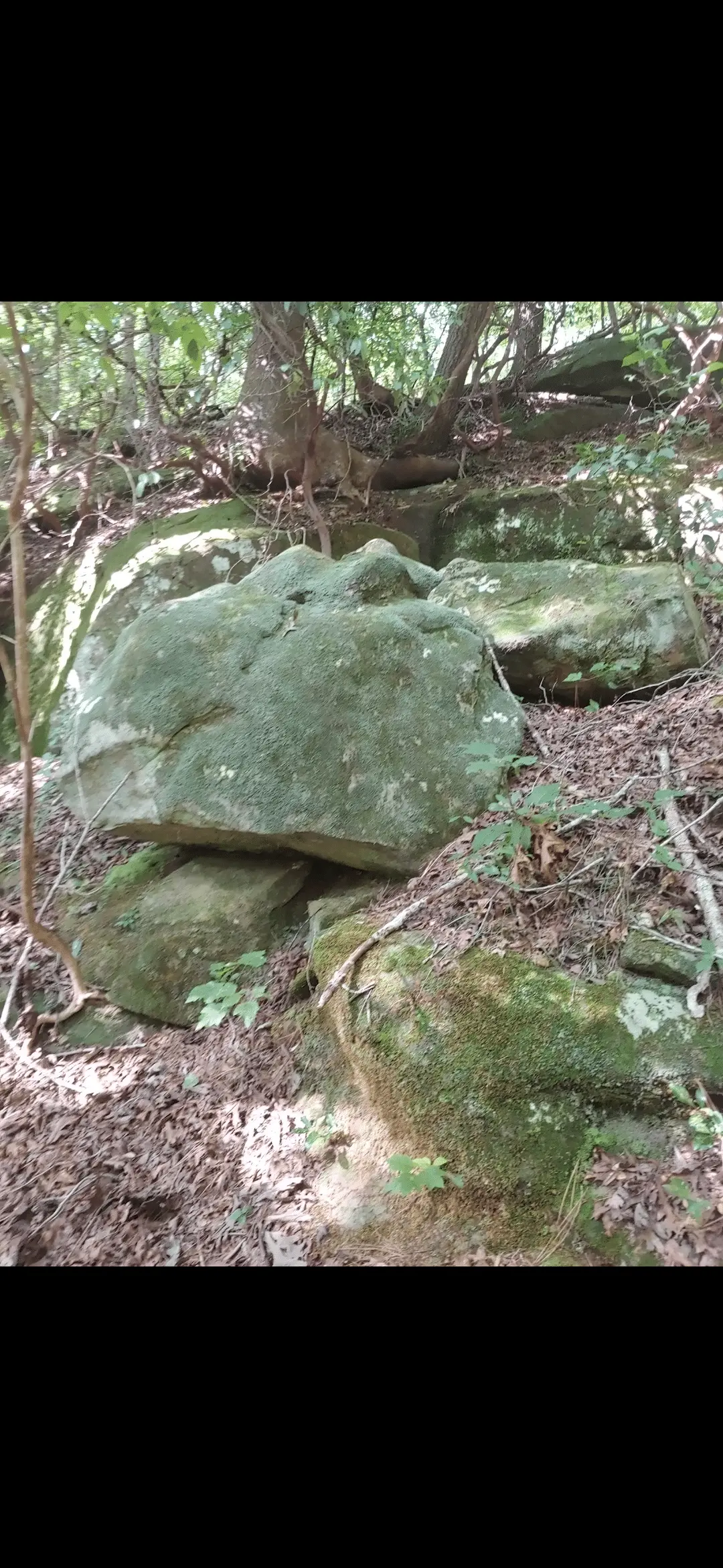 Carved Markers