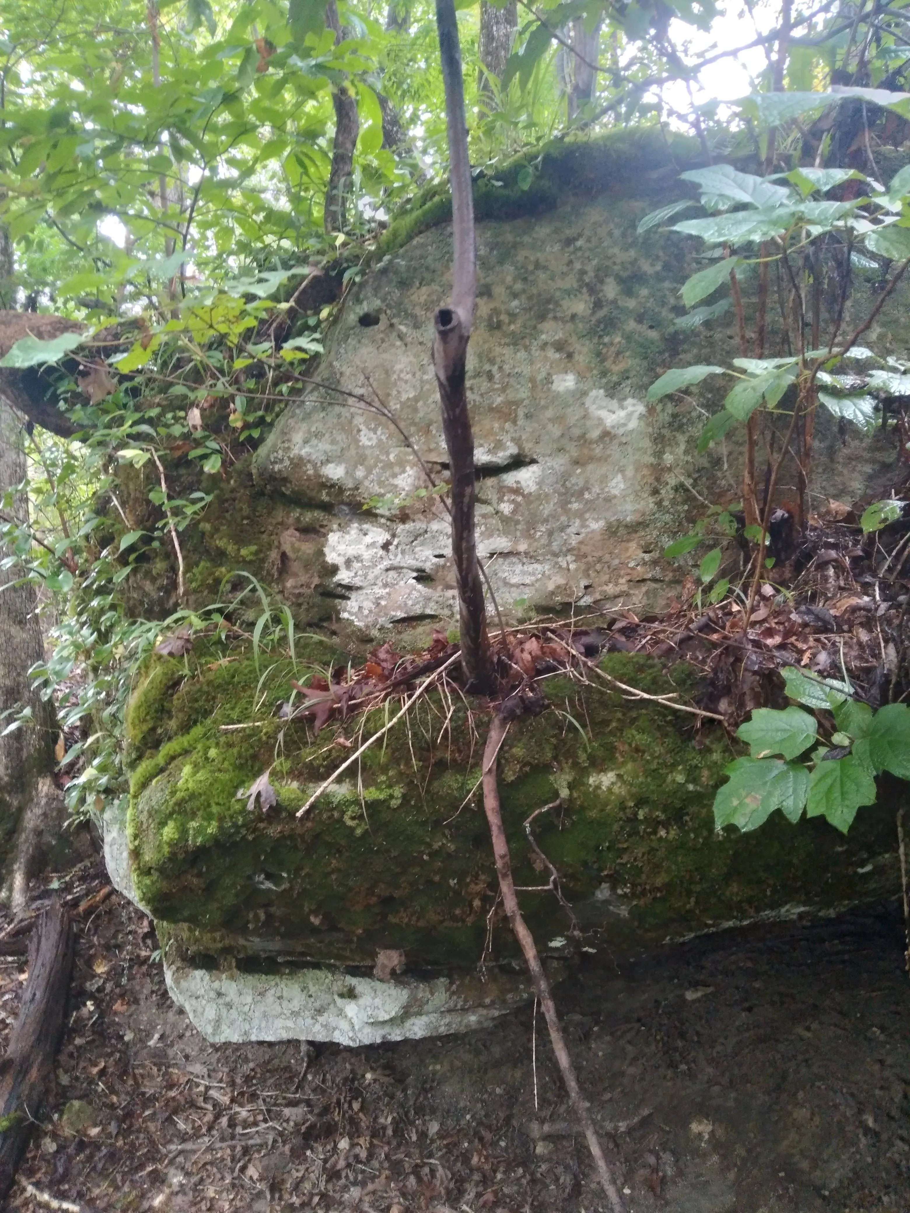 Carved Markers