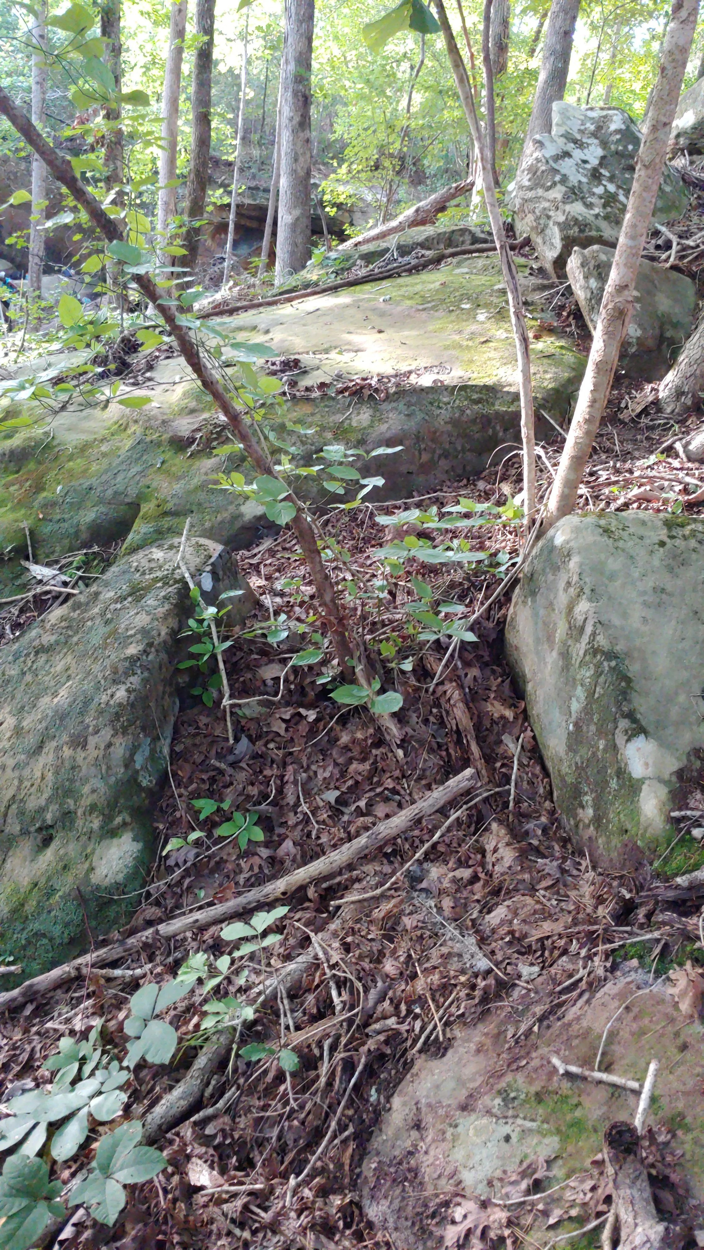 Carved Markers