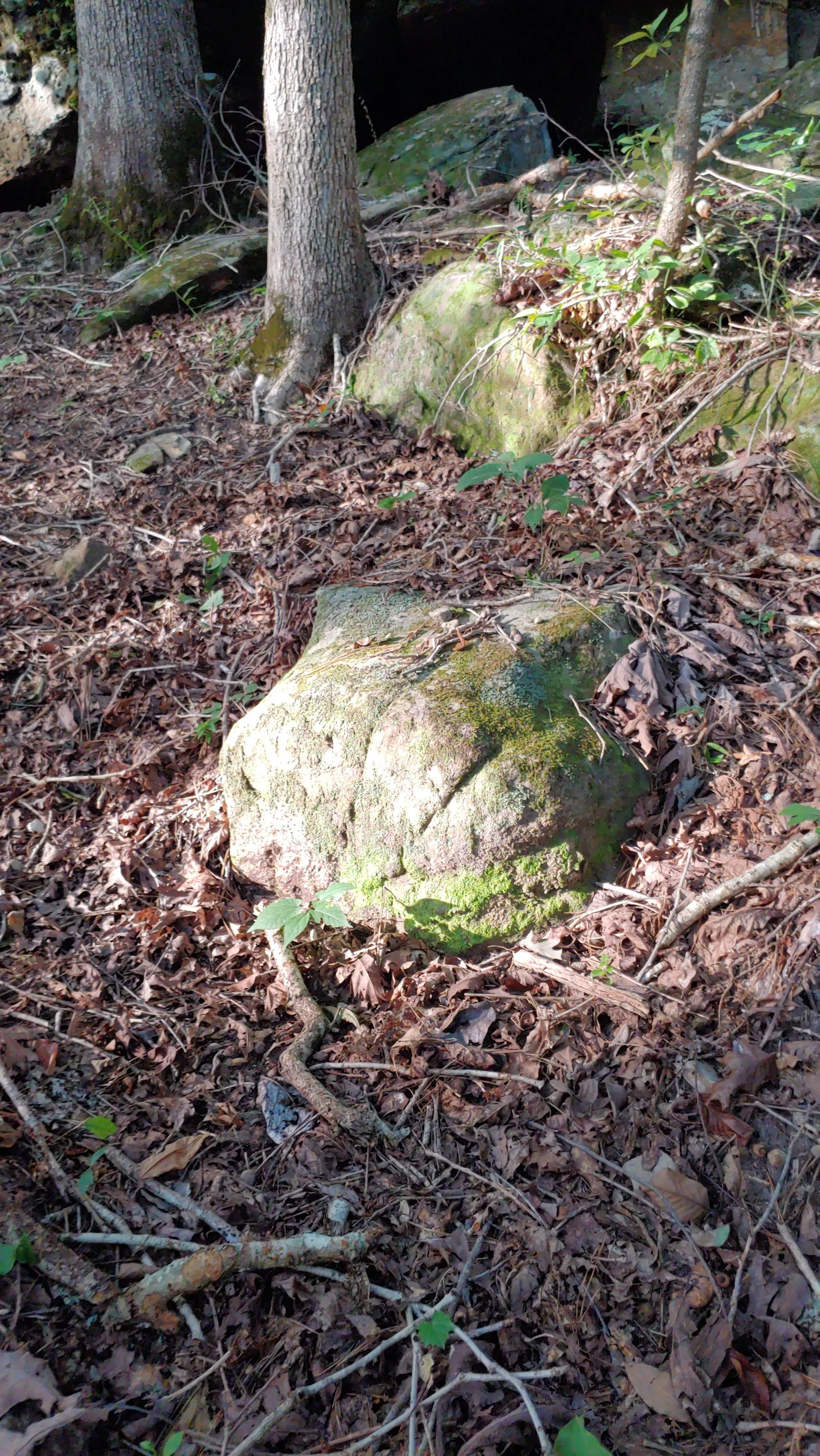 Carved Markers