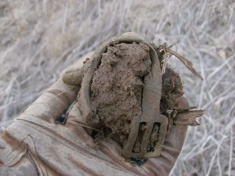 Civil War Spur from a plowed field.