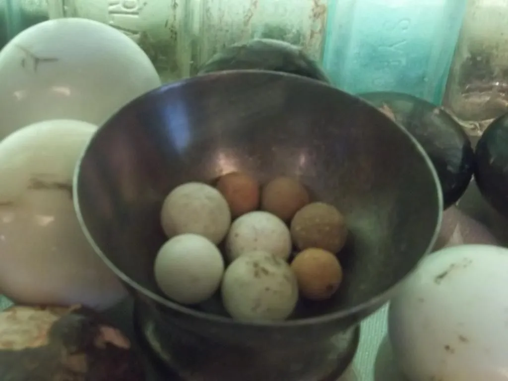 Clay marbles. Fifteen porcelain door knobs in background. All surface finds.