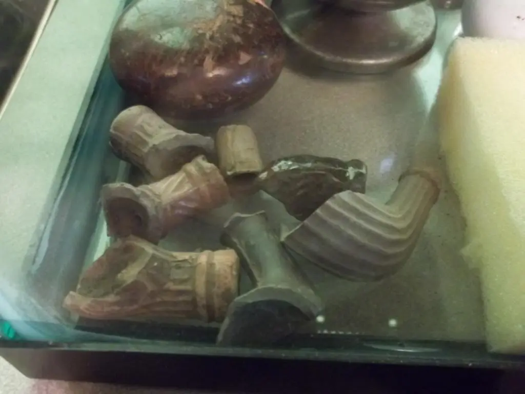 Clay pipe pieces.