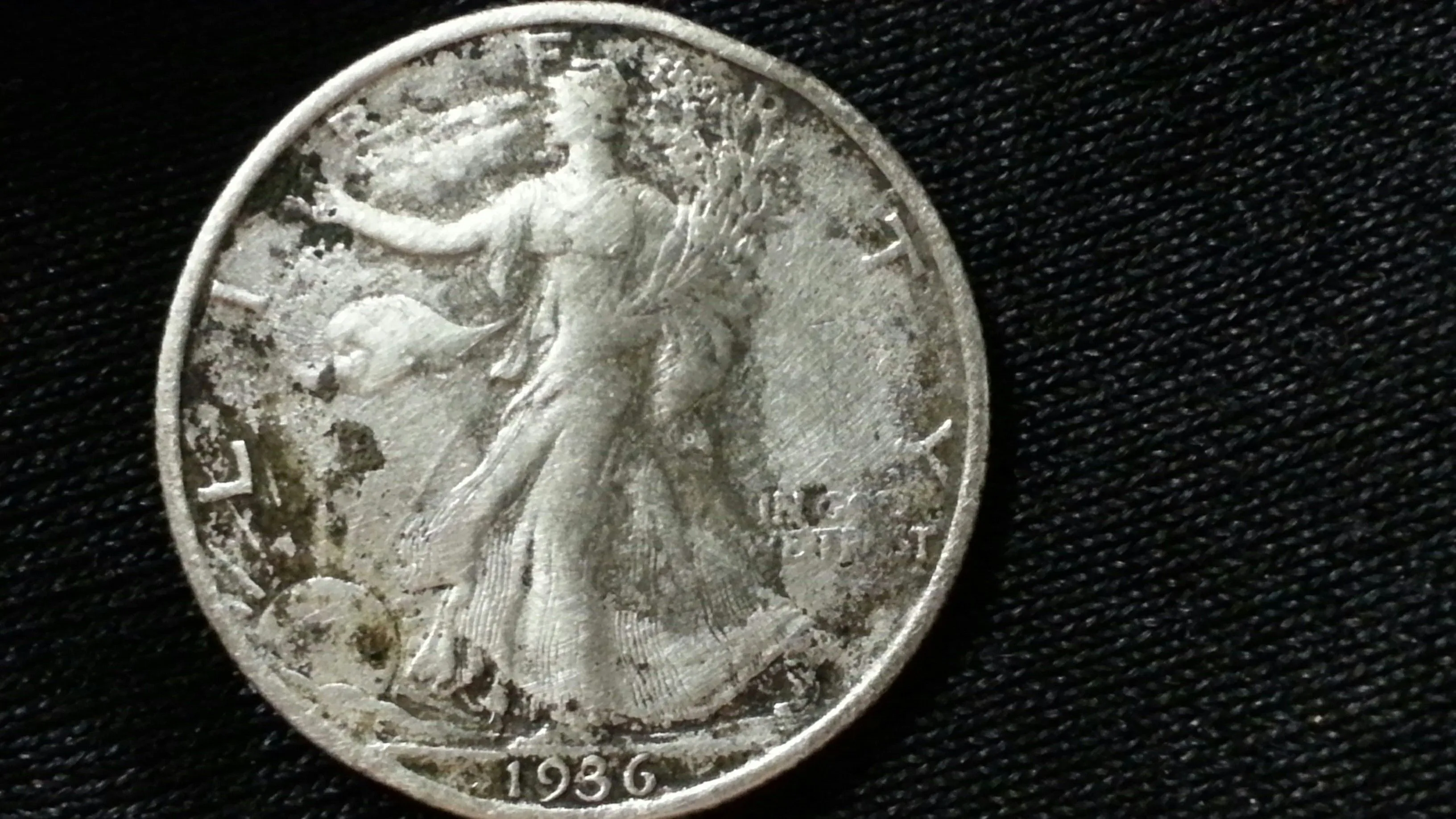 CM141127 11324301