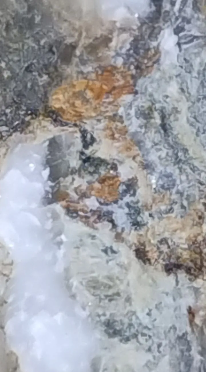 CM240410-191510001.jpg