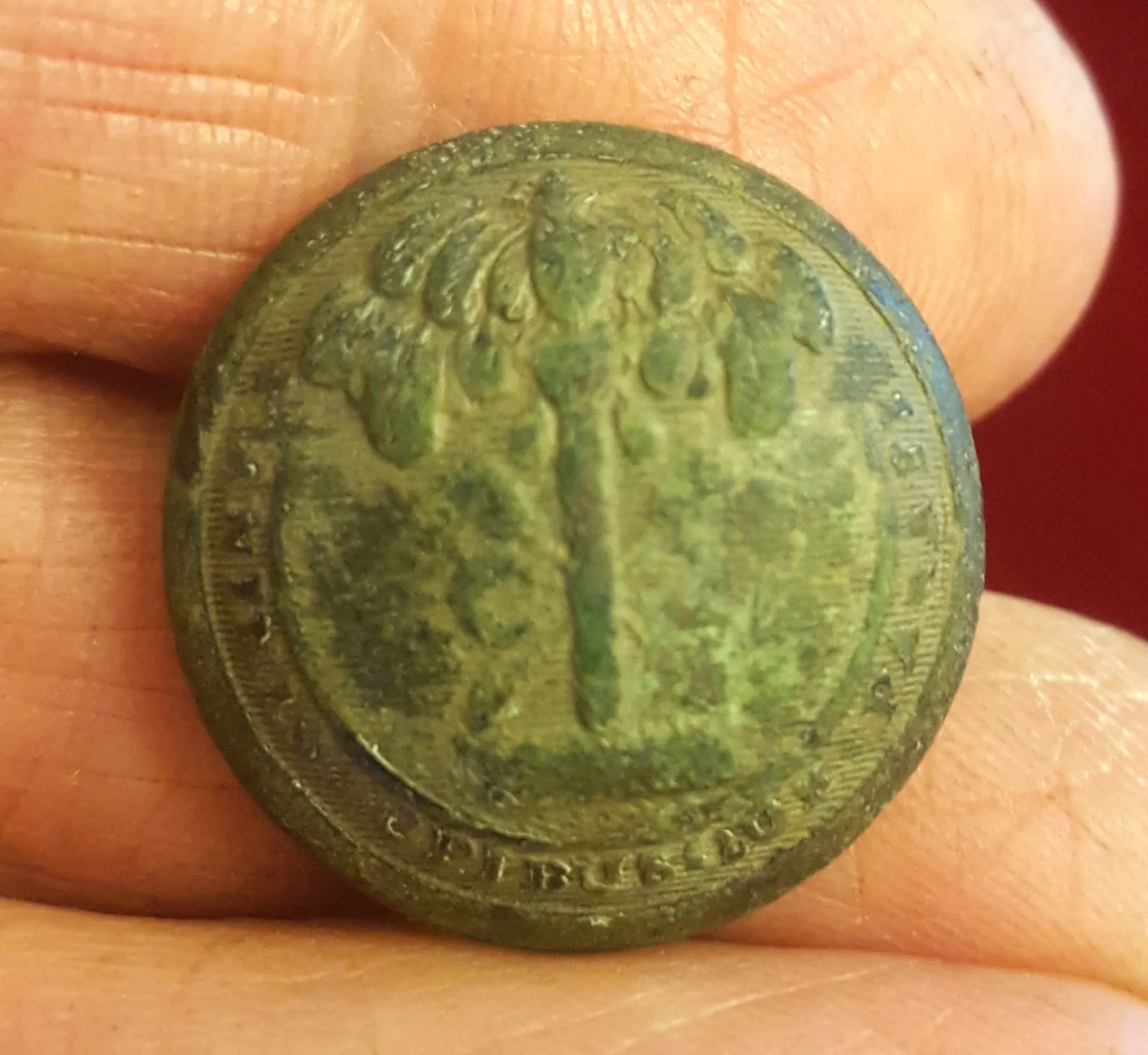 Coat-sized SC militia button-"Schuyler H&G/New York" back mark (1850s)