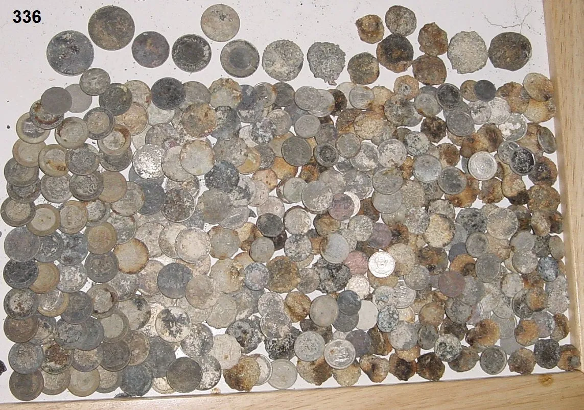 COINS FROM TRIP =336