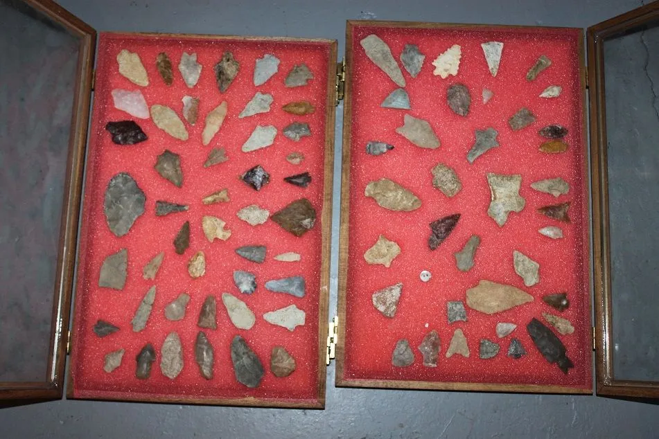 Collection 3