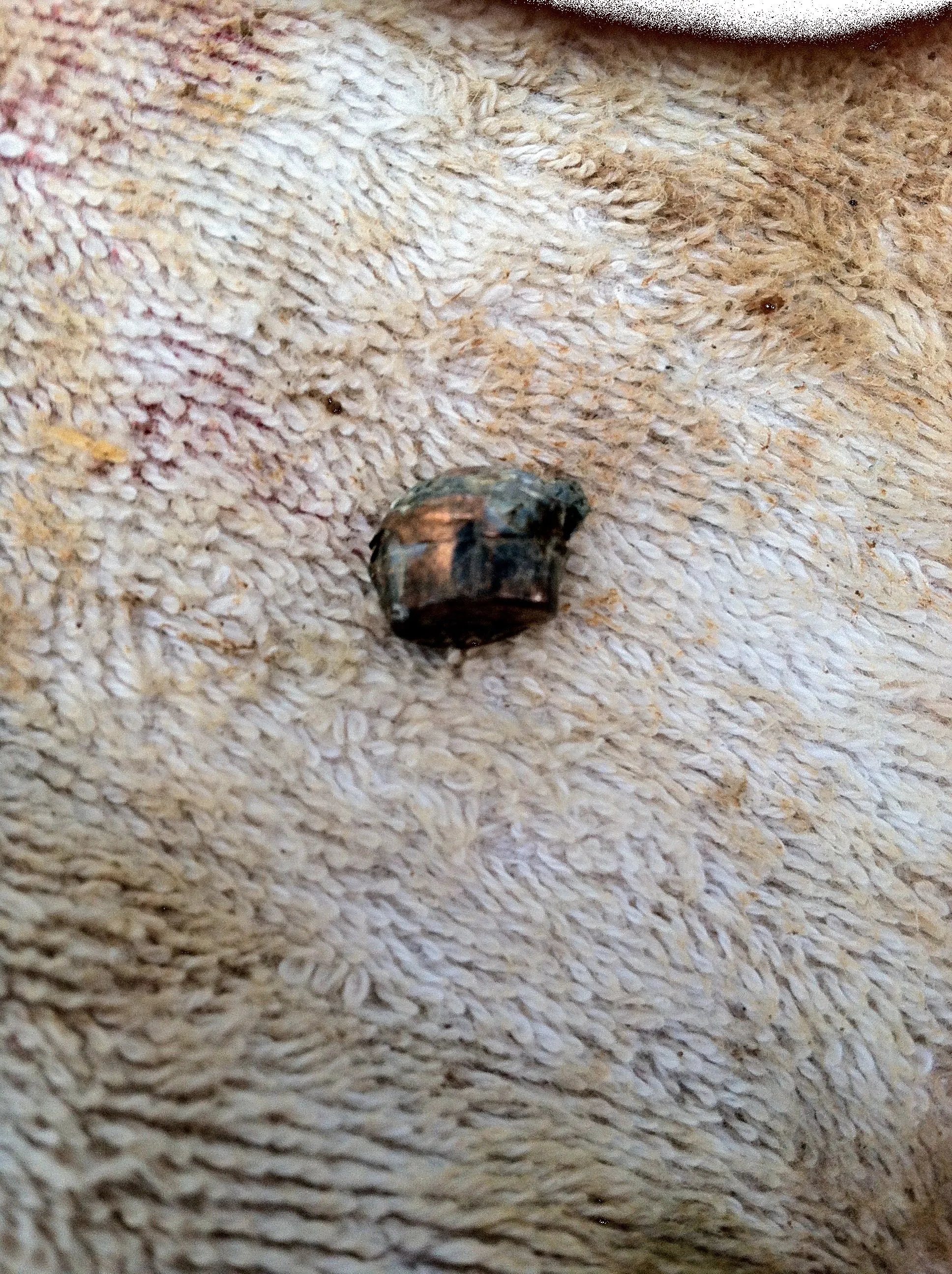 Copper bullet possibly 45