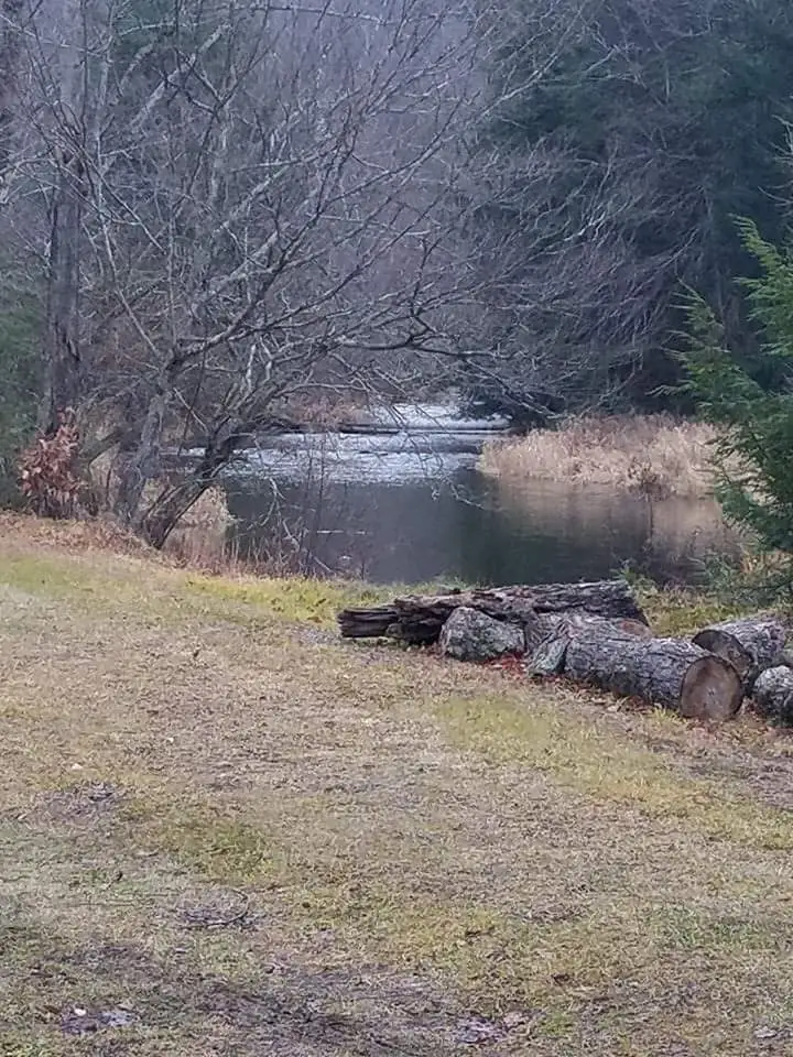 Cross Fork Creek in front of my cabin...wild trout