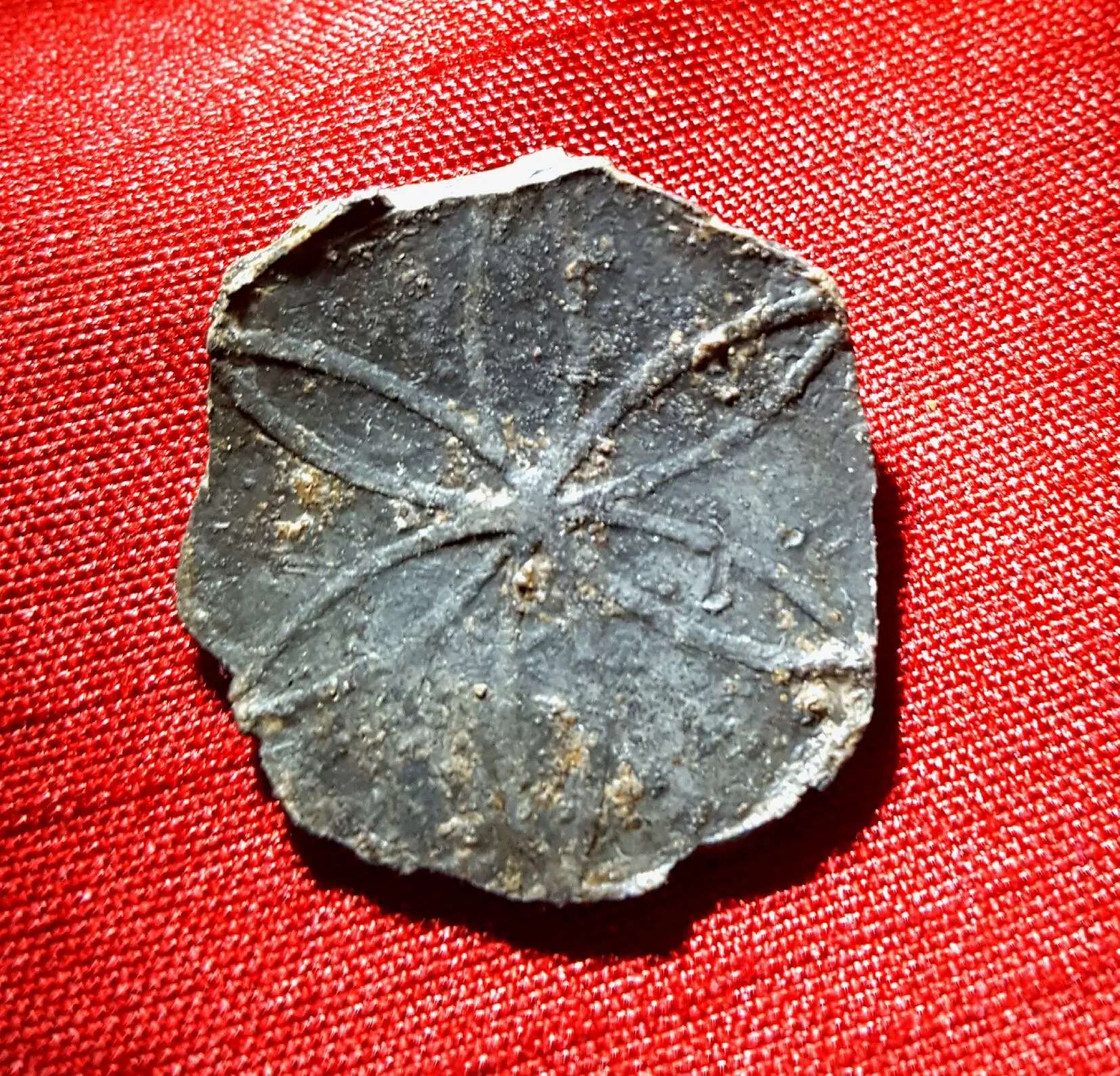 Decorative pewter coat button
