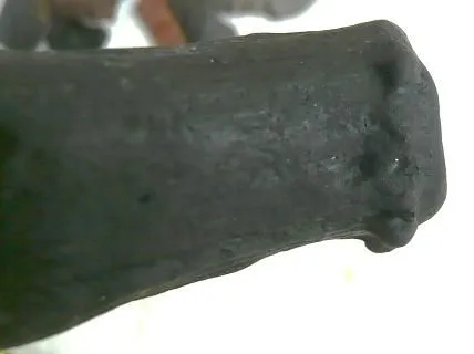 Deer antler