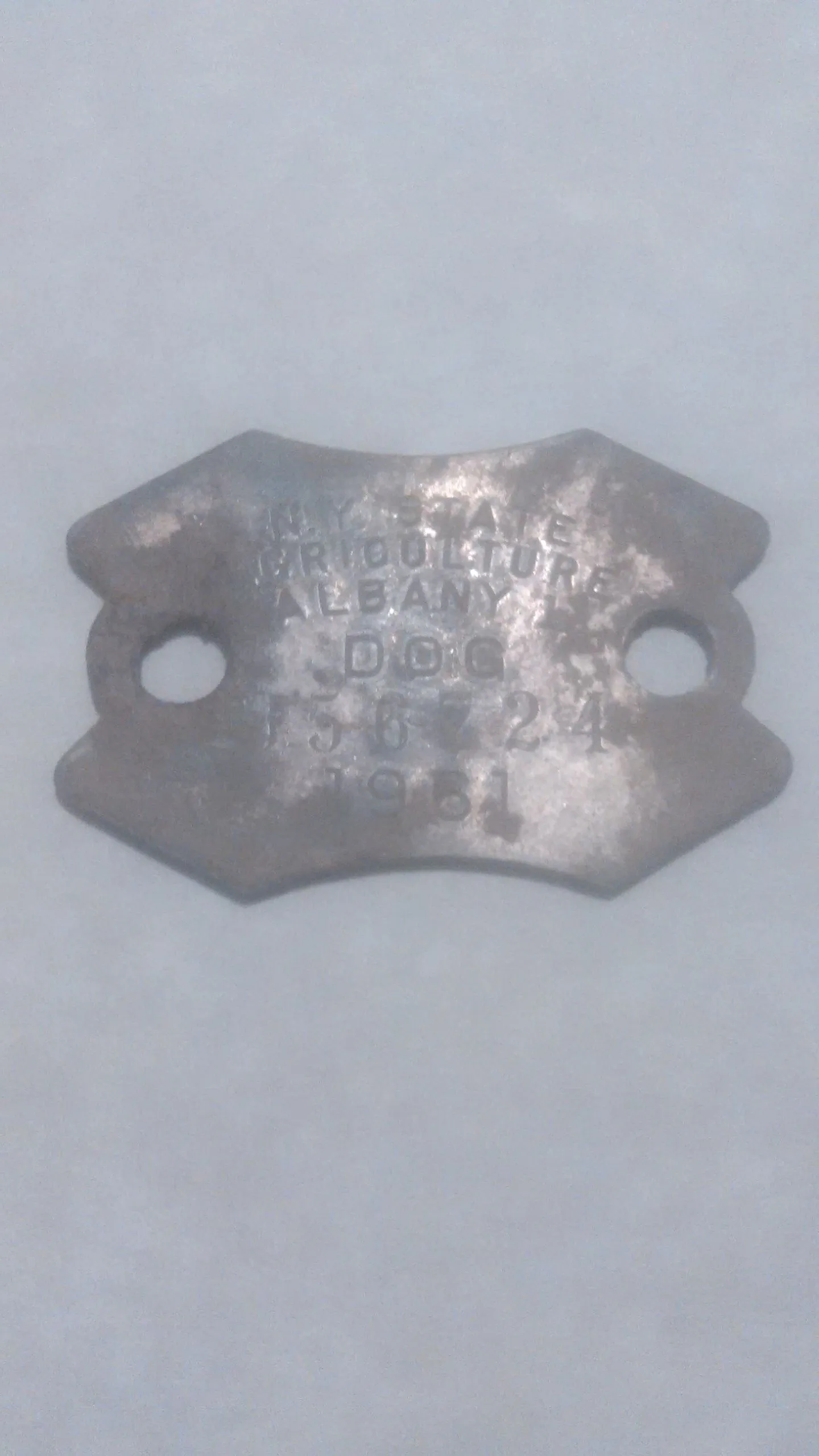 Dog ID tag, Albany, NY 1961