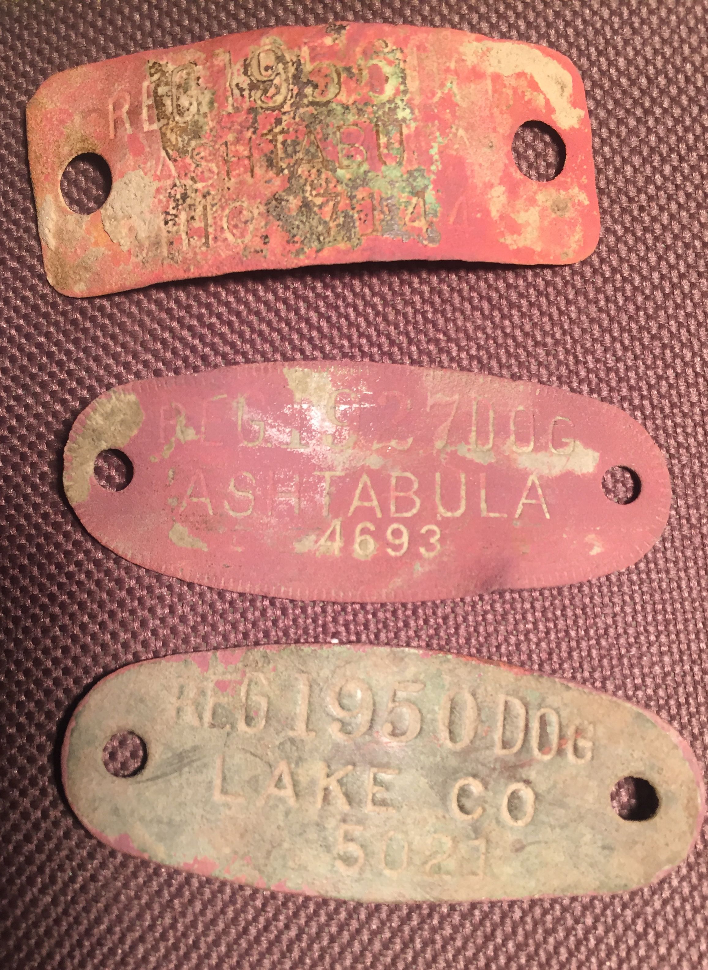 Dog Licenses; Top to Bottom; 1956, 1927, 1950; Ashtabula County, Ashtabula County, Lake County