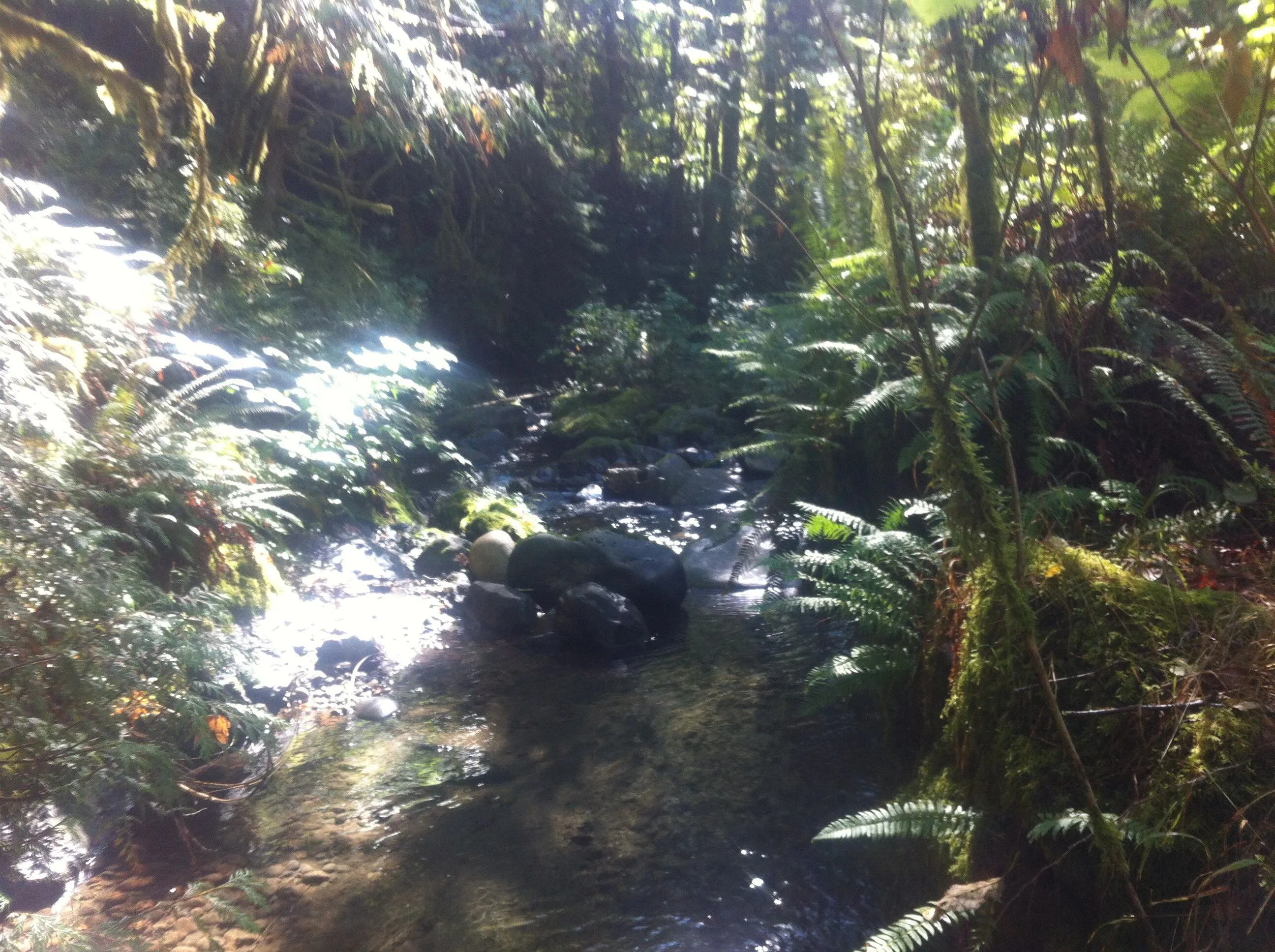 Down stream