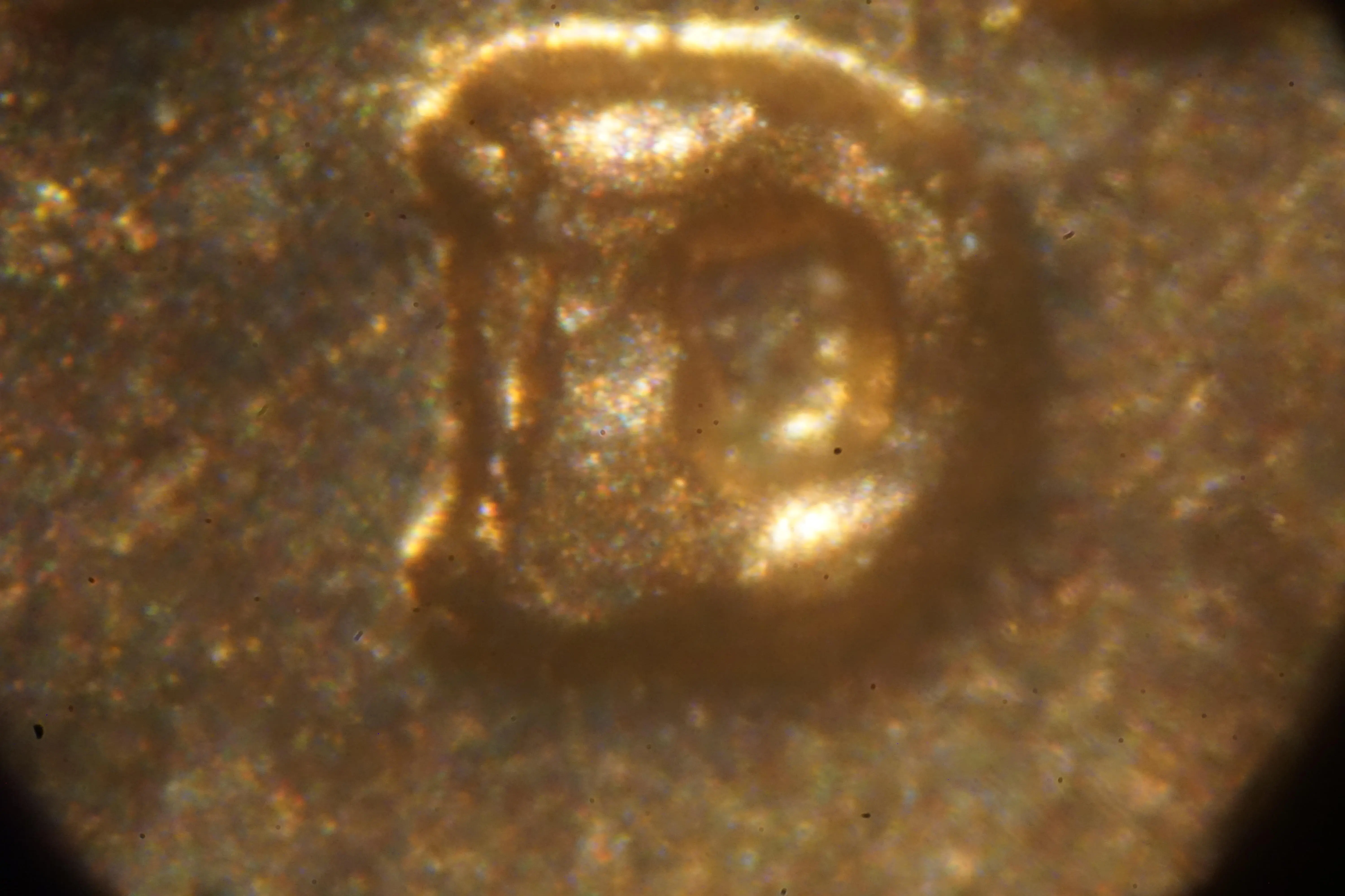 DSC07840