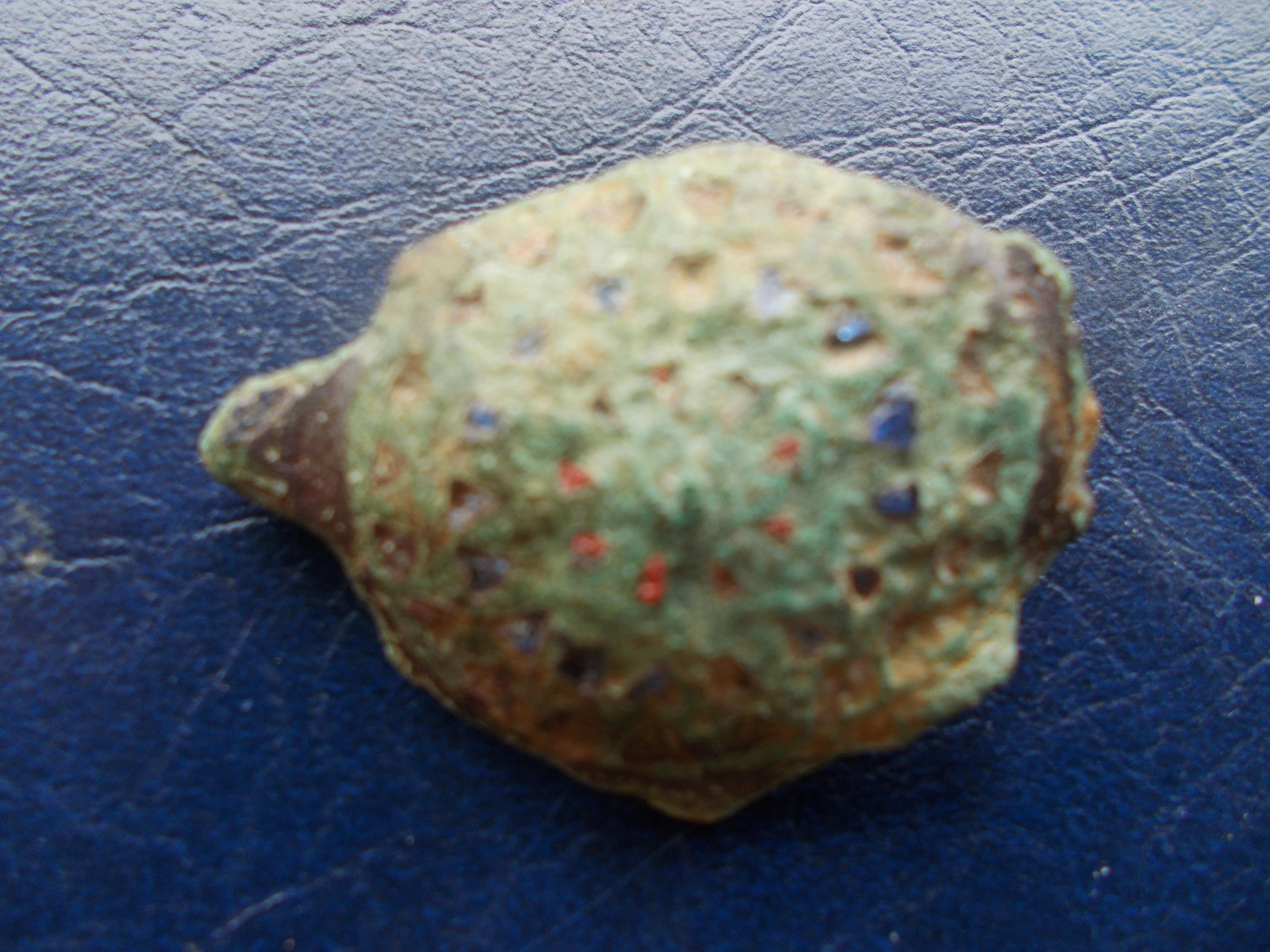DSCN0307.webp
