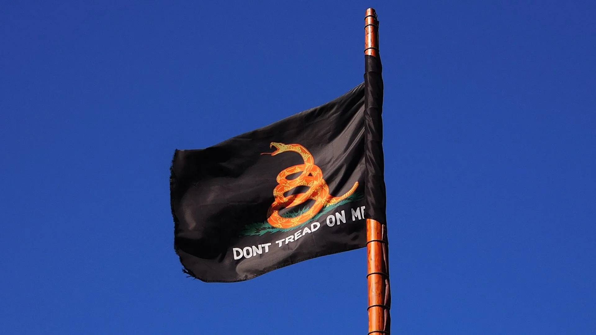 DSCN2640