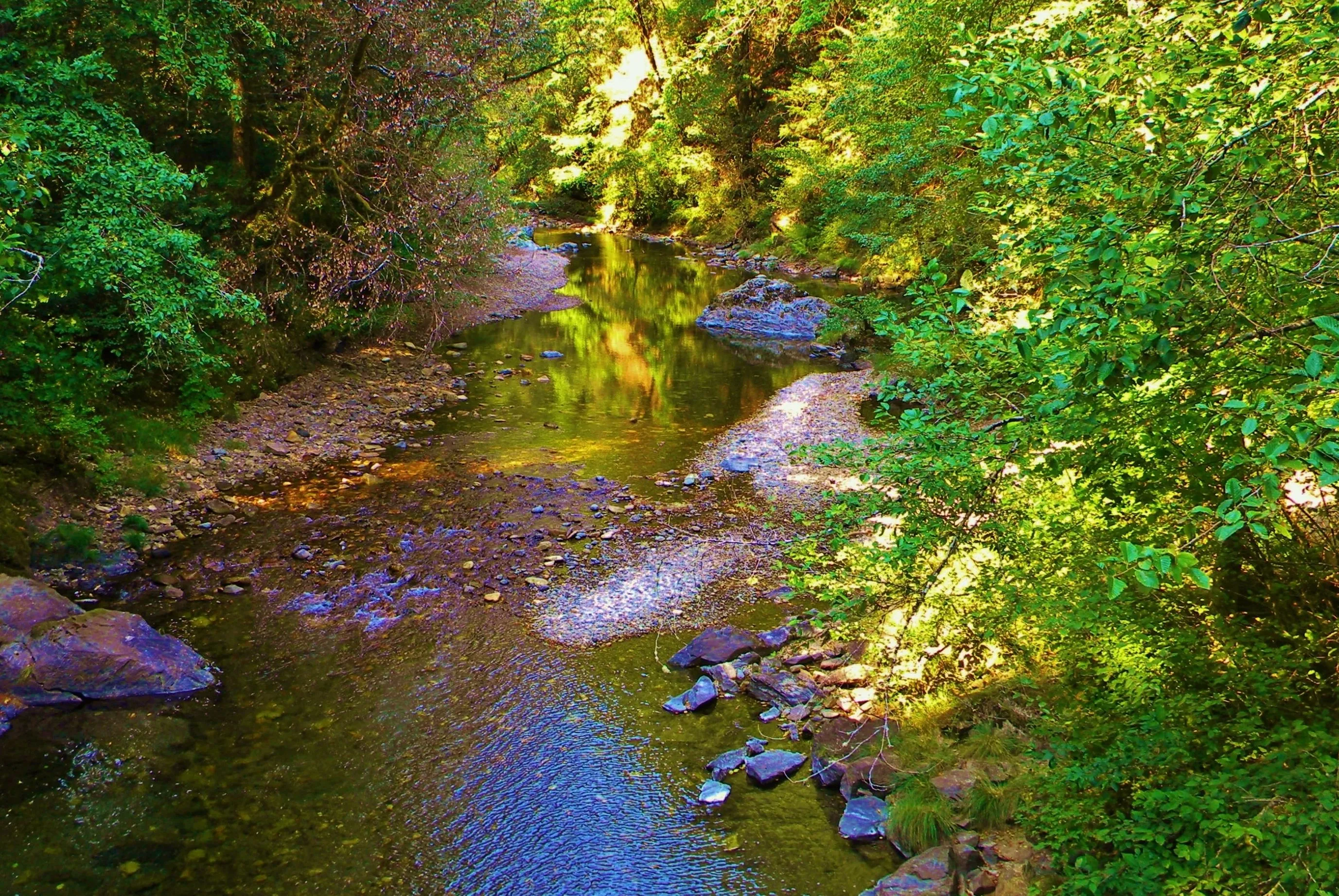 DSCN4988