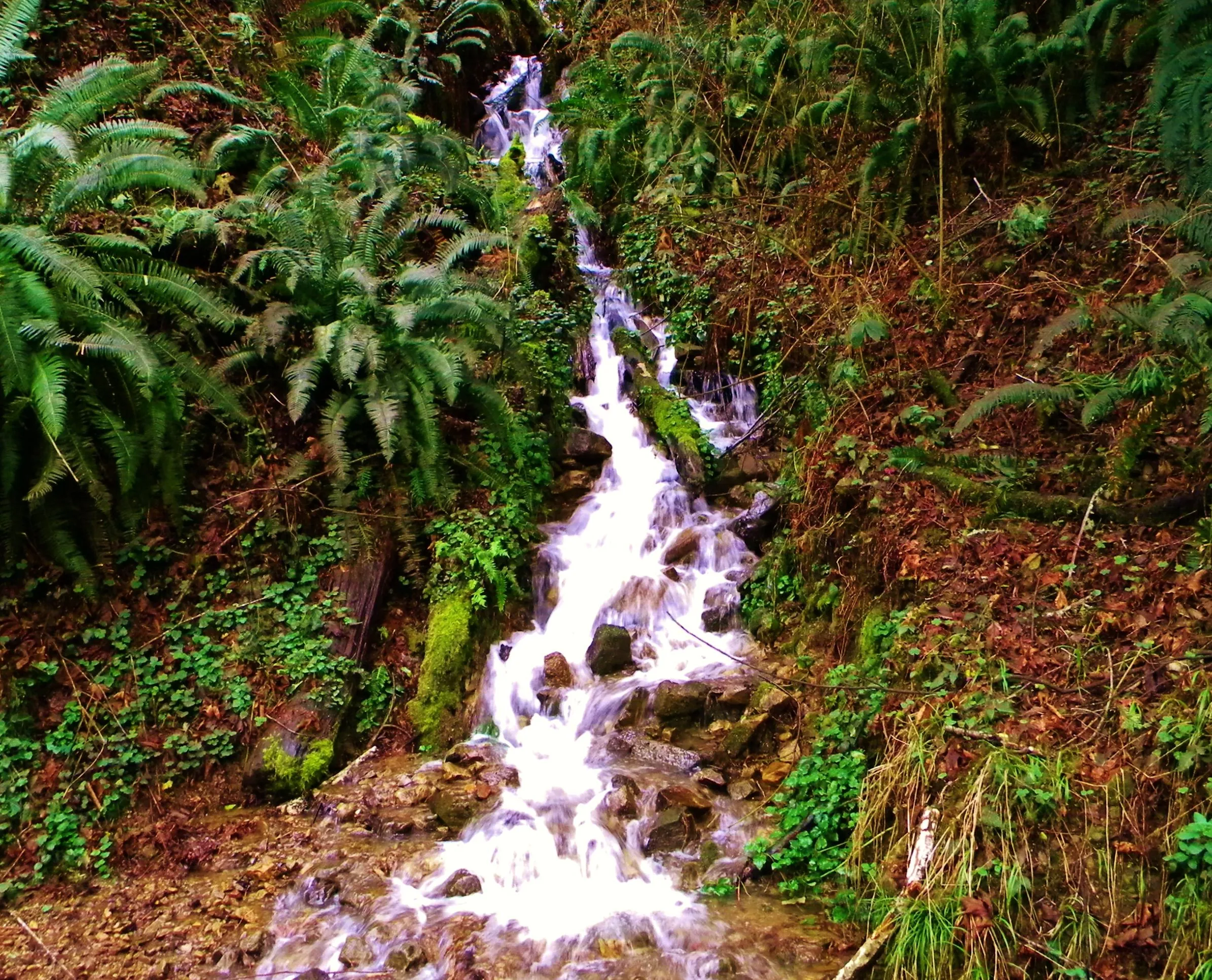 DSCN6571