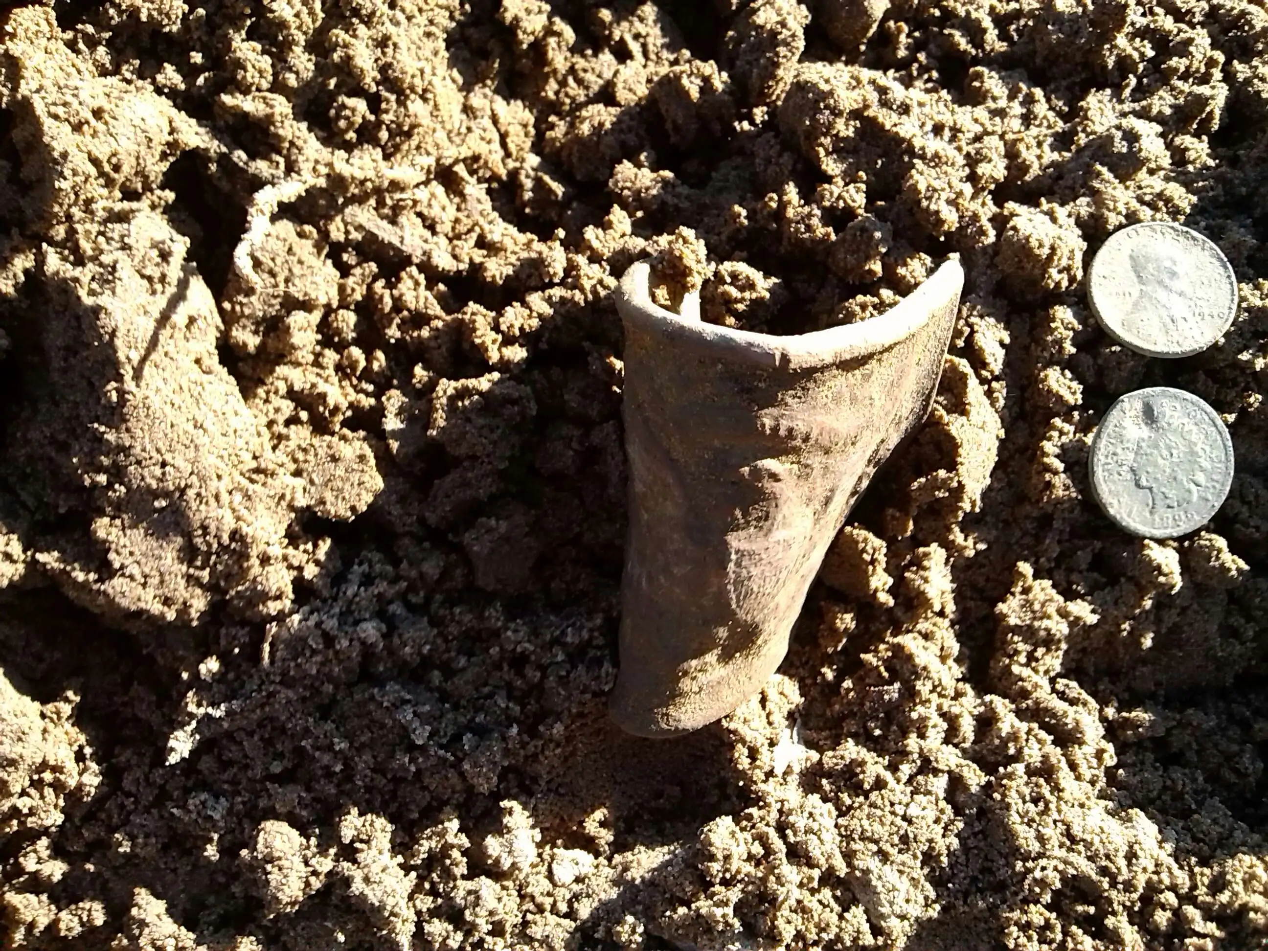 Dug in Worth County Georgia farm field on Feb 8, 2015 ----Early version of 1851 Union Eagle Belt Sword Officers Plate #630