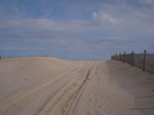 dune to beach