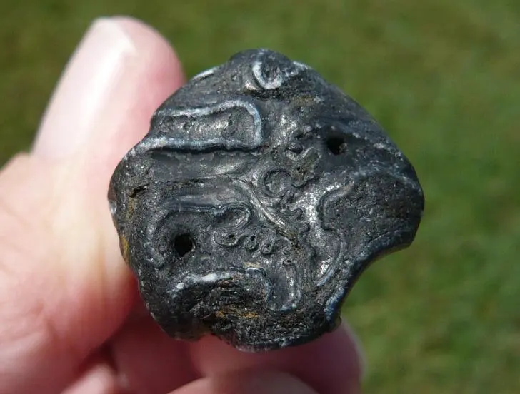 Equus Sp. Pleistocene horse tooth  (3)