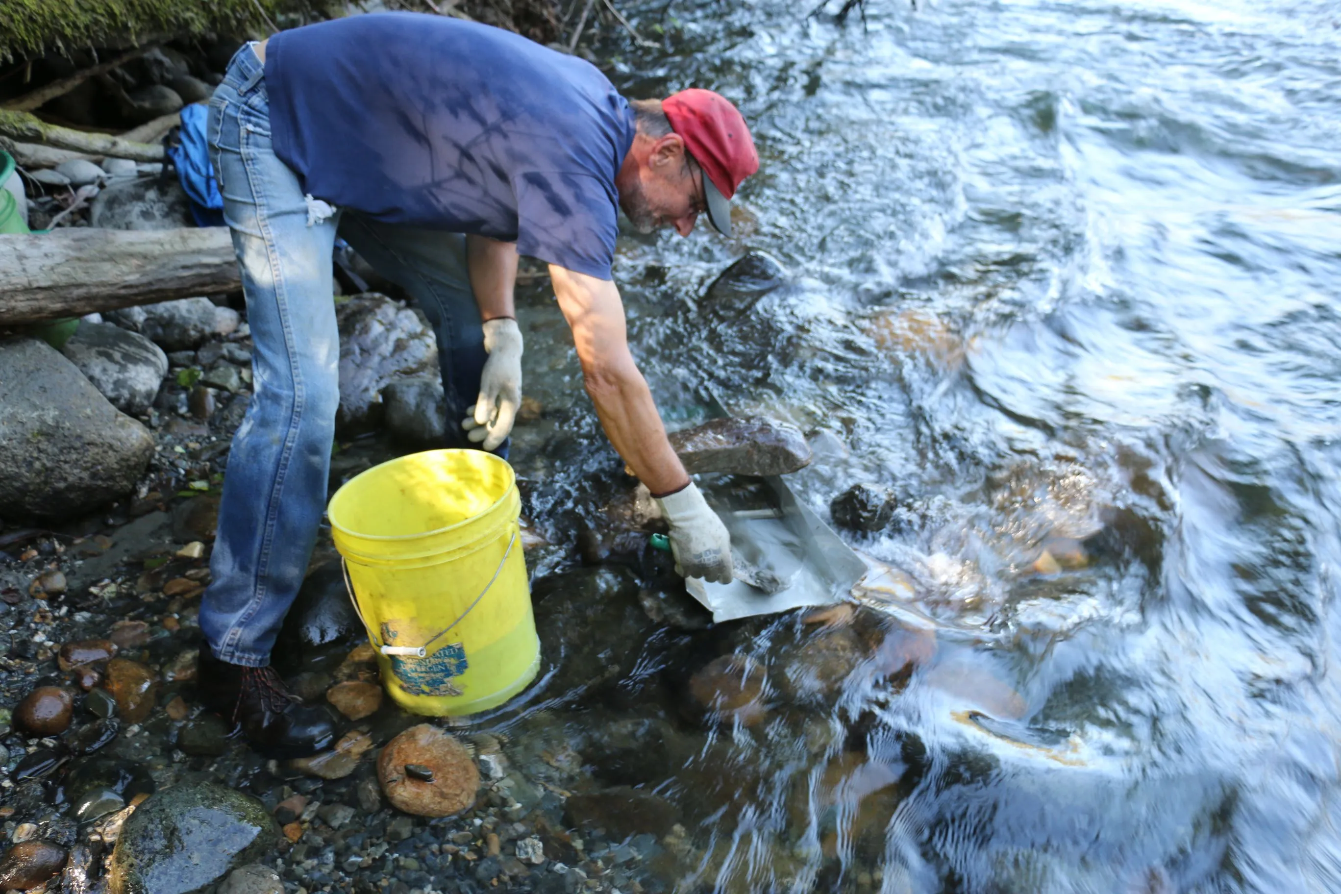 Feeding his sluice. All material has been washed through a 1/4" classifier.