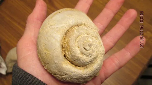finds 010