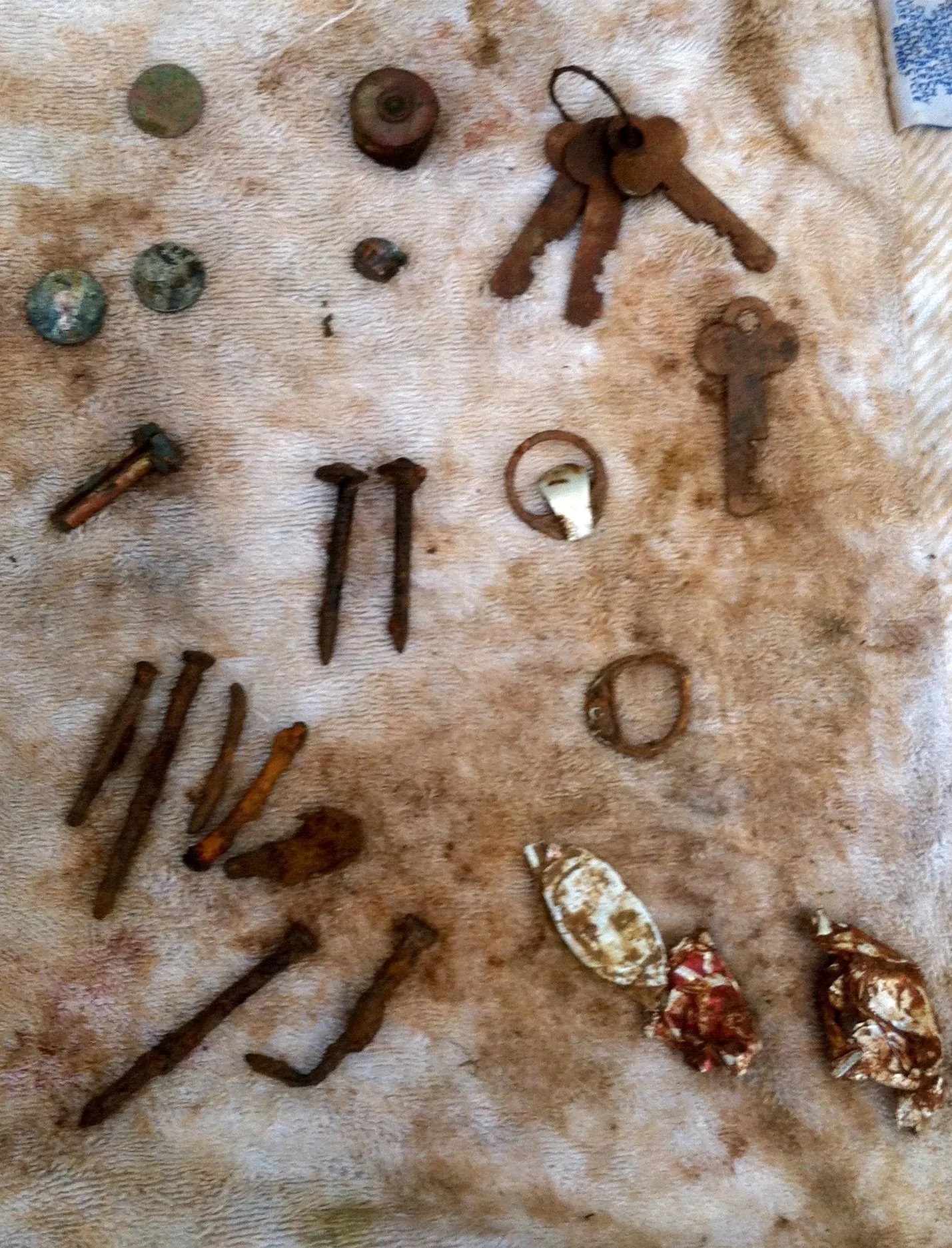 Finds from around my driveway and pecan trees. Including my 1953 ONE CENT penny.