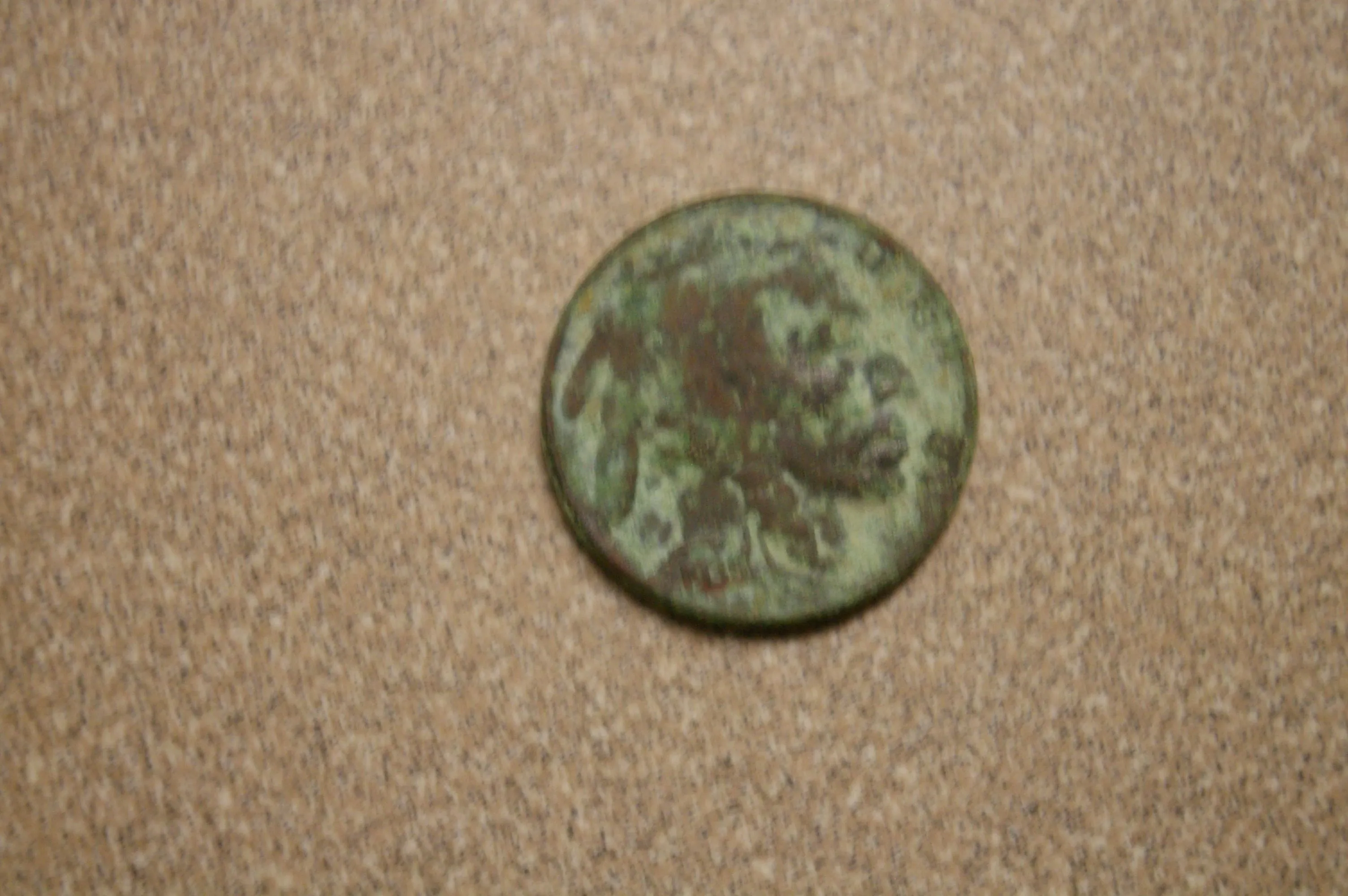 First buffalo Nickel_Forrest Park Pool
