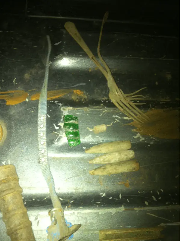 First hunt, found a 9mm bullet first dig, found some .50cal bullets, 2 forks.