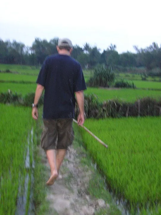 fishing the rice fields DaNang