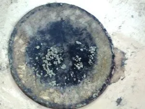 Flat Button (Eagle Backmark)